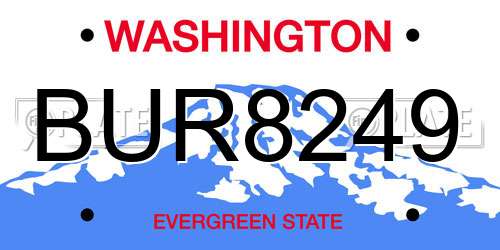 BUR8249 Washington License Plate