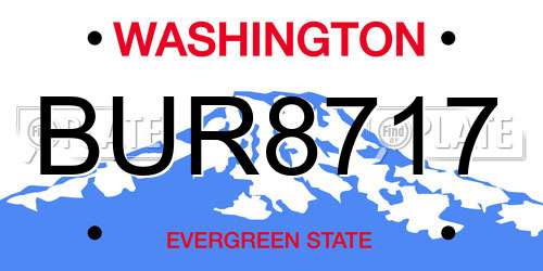 BUR8717 Washington License Plate
