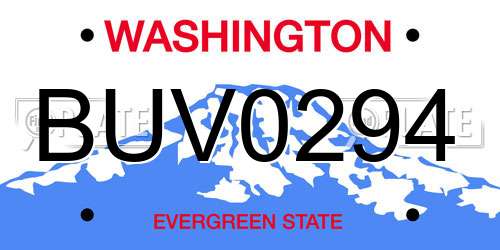 BUV0294 Washington License Plate