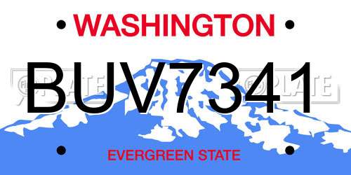 BUV7341 Washington License Plate