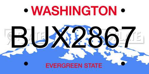 BUX2867 Washington License Plate