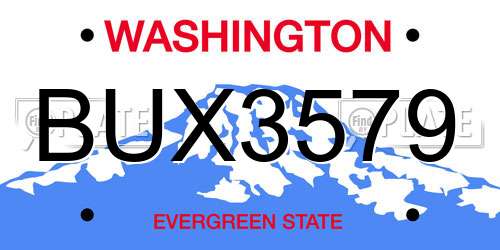 BUX3579 Washington License Plate