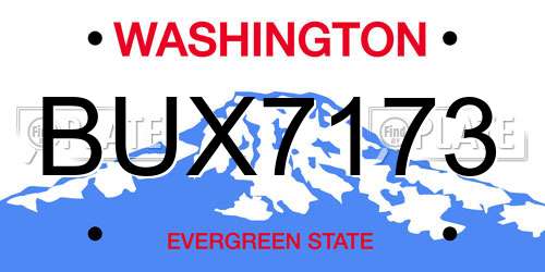BUX7173 Washington License Plate