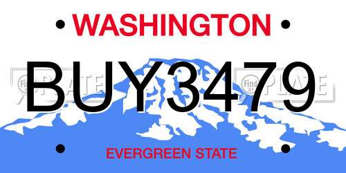 BUY3479 Washington License Plate