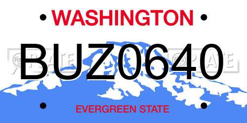 BUZ0640 Washington License Plate