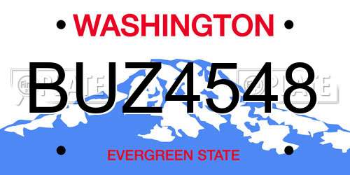 BUZ4548 Washington License Plate