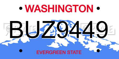 BUZ9449 Washington License Plate