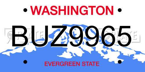 BUZ9965 Washington License Plate