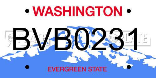 BVB0231 Washington License Plate