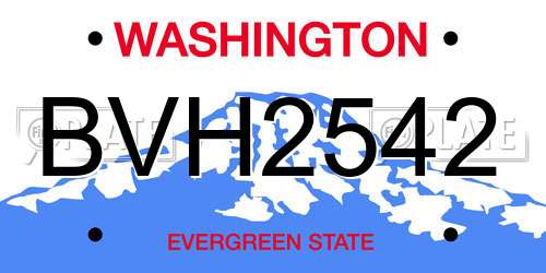 BVH2542 Washington License Plate