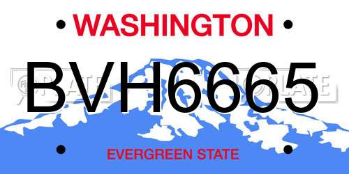 BVH6665 Washington License Plate
