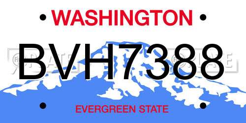 BVH7388 Washington License Plate