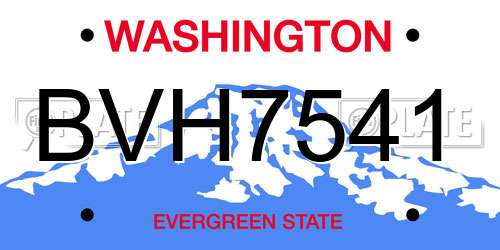 BVH7541 Washington License Plate