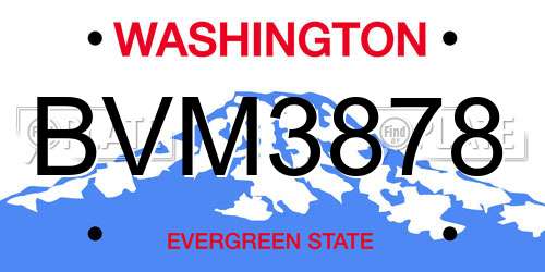 BVM3878 Washington License Plate