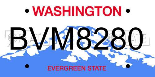 BVM8280 Washington License Plate