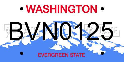 BVN0125 Washington License Plate