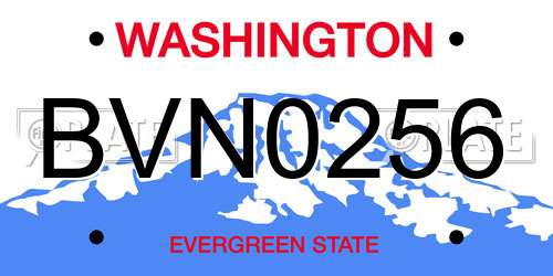 BVN0256 Washington License Plate
