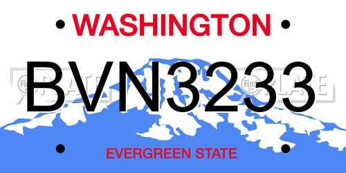 BVN3233 Washington License Plate