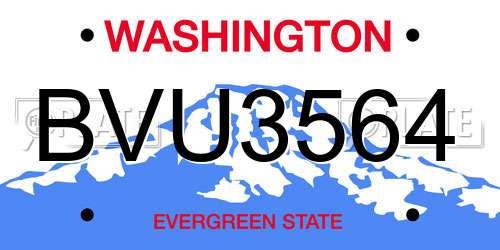 BVU3564 Washington License Plate
