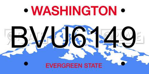 BVU6149 Washington License Plate