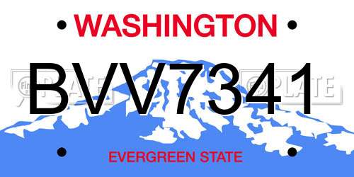 BVV7341 Washington License Plate
