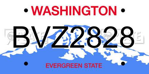 BVZ2828 Washington License Plate