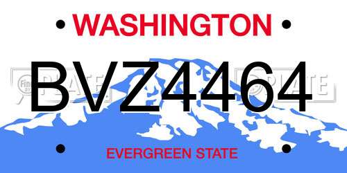 BVZ4464 Washington License Plate