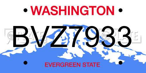 BVZ7933 Washington License Plate
