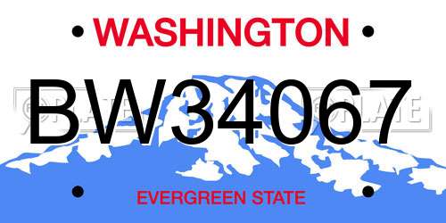 BW34067 Washington License Plate