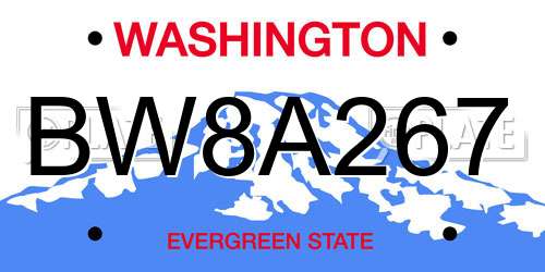 BW8A267 Washington License Plate