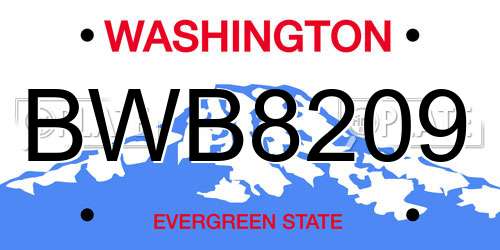 BWB8209 Washington License Plate