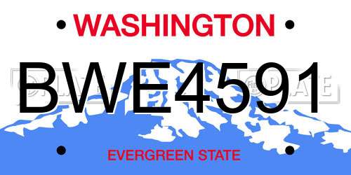 BWE4591 Washington License Plate