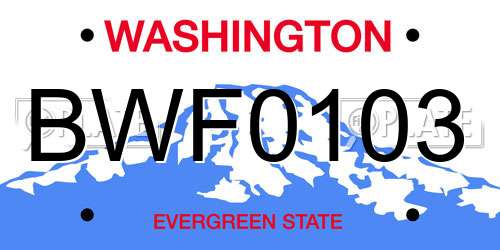 BWF0103 Washington License Plate
