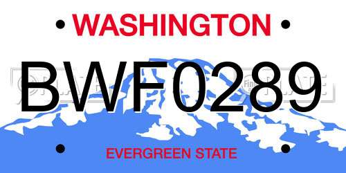 BWF0289 Washington License Plate