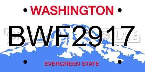 BWF2917 Washington License Plate