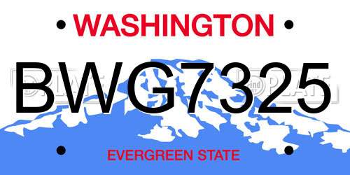 BWG7325 Washington License Plate