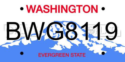 BWG8119 Washington License Plate