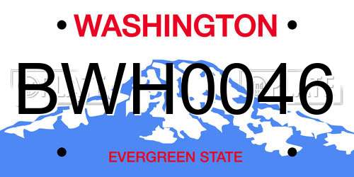BWH0046 Washington License Plate