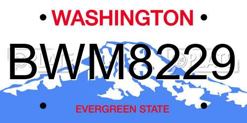 BWM8229 Washington License Plate