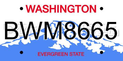 BWM8665 Washington License Plate
