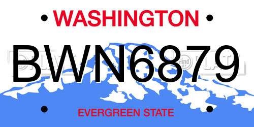 BWN6879 Washington License Plate