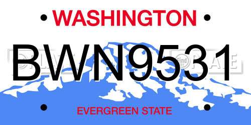 BWN9531 Washington License Plate