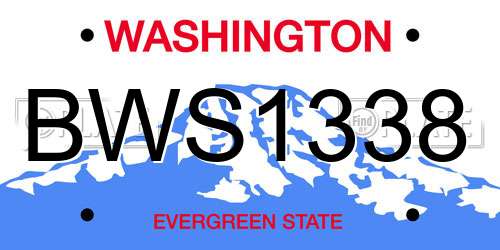 BWS1338 Washington License Plate