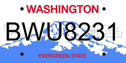 BWU8231 Washington License Plate