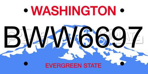 BWW6697 Washington License Plate