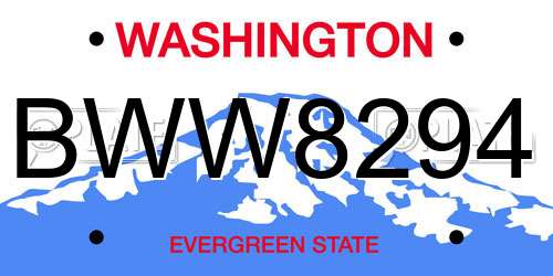 BWW8294 Washington License Plate