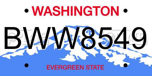 BWW8549 Washington License Plate