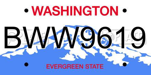 BWW9619 Washington License Plate