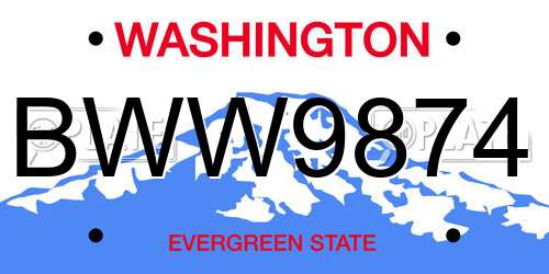 BWW9874 Washington License Plate