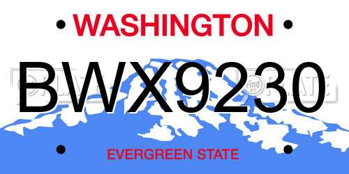 BWX9230 Washington License Plate